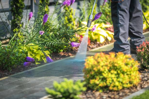 Trusted Dunmore, PA Pressure Washing Services Experts